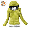 Big Sale On Autumn Winter Women Basic Sport Jacket - Girl Stylo
