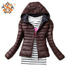Big Sale On Autumn Winter Women Basic Sport Jacket - Girl Stylo