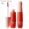 CATS WINK MANSHILI Wheaten Nude Moisture Care Vitamin E Nourish LipGloss in 12 Gorgeous Color - Girl Stylo